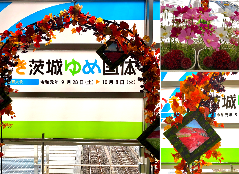 フラワークラフトアンティクス アートおしゃれプレゼント花 フラワークラフトアンティクス アートおしゃれプレゼント花